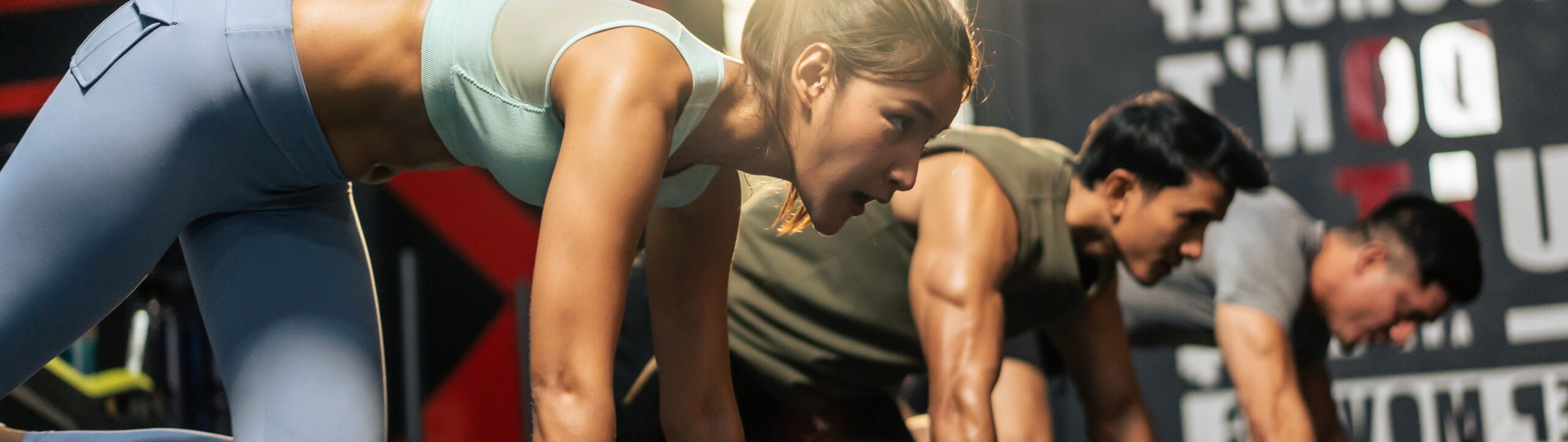 Fitspro A La Carte Header